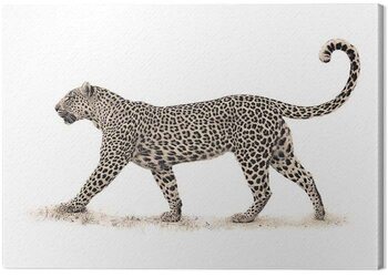 Tela Mario Moreno - The Leopard