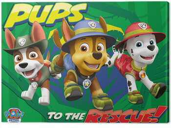 Tela Paw Patrol - Pups To The Rescue