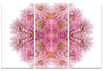 Tela Alyson Fennell - Pink Chrysanthemum Explosion