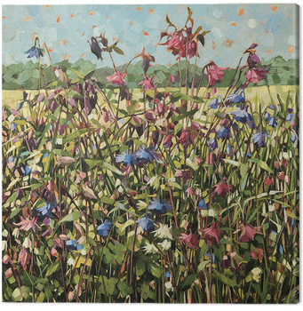 Tela Anne-Marie Butlin - Aquilegia