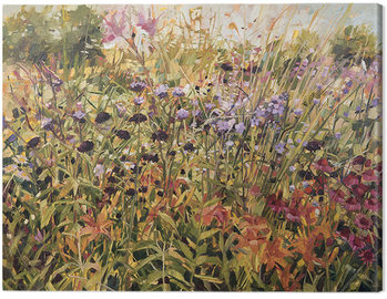 Tela Anne-Marie Butlin - Field with Lillies