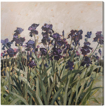 Tela Anne-Marie Butlin - May Garden