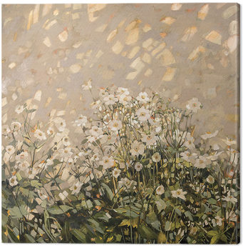Tela Anne-Marie Butlin - Morning Sun on Japanese Anemones