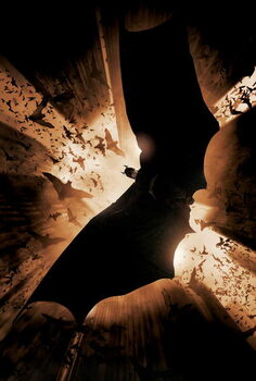 Quadro em tela Batman Begins, 2005