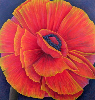 Quadro em tela Big Poppy, 2003