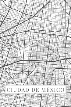 Quadro em tela Ciudad de México white