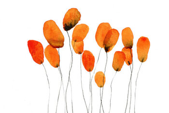 Quadro em tela Cluster of orange flowers against white background
