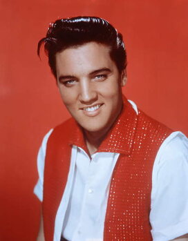 Quadro em tela Elvis Presley