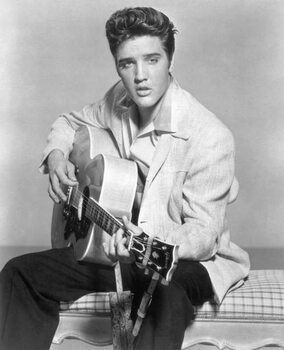 Quadro em tela Elvis Presley