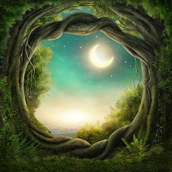 Quadro em tela Enchanted dark forest