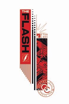 Quadro em tela Flash - Human Whirlwind