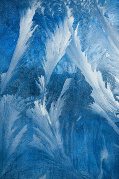 Quadro em tela Frosty pattern on transparent background. Background