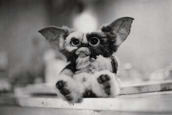 Quadro em tela Gremlins