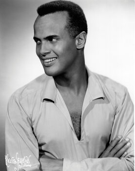 Quadro em tela Harry Belafonte