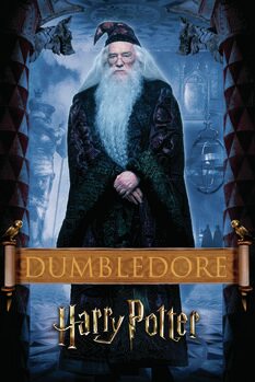 Quadro em tela Harry Potter - Dumbledore