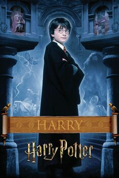 Quadro em tela Harry Potter - Harry