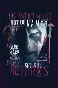 Quadro em tela Harry Potter - He returns