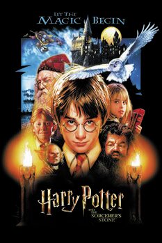 Quadro em tela Harry Potter - Let the magic begin