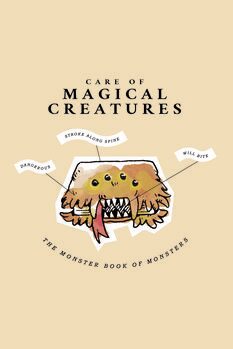 Quadro em tela Harry Potter - Magical Creatures