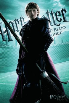Quadro em tela Harry Potter - Ron Weasley