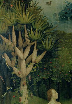 Quadro em tela Hieronymus Bosch - O Jardim das Delícias Terrenas