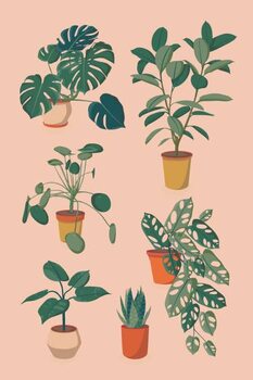 Quadro em tela houseplants set