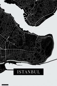 Quadro em tela Instanbul black