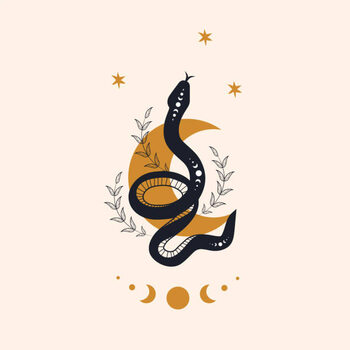Quadro em tela Magic snake in boho style with