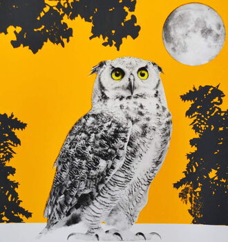 Quadro em tela Moonbathing, 2016,