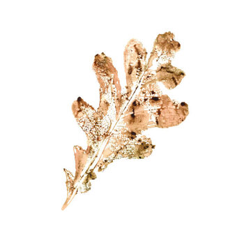 Quadro em tela Oak leaf