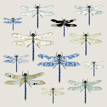 Quadro em tela Odonata, 2008