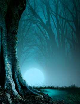 Quadro em tela Path Through A Haunted Forest