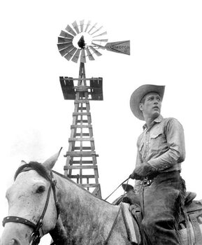 Quadro em tela Paul Newman