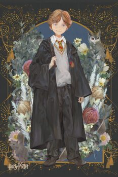 Quadro em tela Ron Weasley - Yume