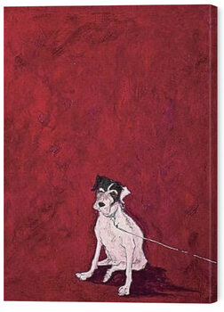 Quadro em tela Sam Toft - Lucky Legsie