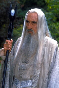 Quadro em tela Saruman