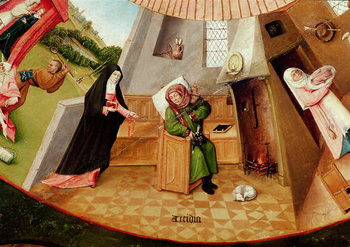 Quadro em tela Sloth, detail