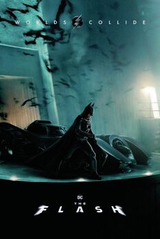 Quadro em tela The Flash - Batman