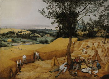 Quadro em tela The Harvesters