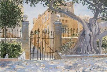 Принти на полотні The Ancient Tree, 2011