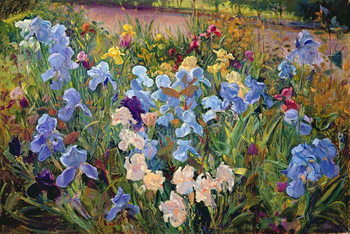 Принти на полотні The Iris Bed, 1993