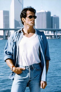 Принти на полотні The Specialist - Sylvester Stallone