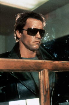 Принти на полотні The Terminator