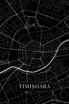 Принти на полотні Timisoara black