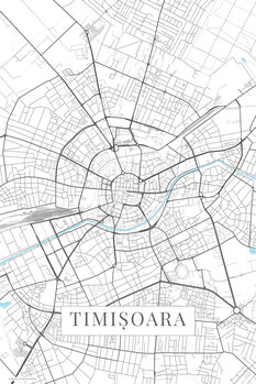 Принти на полотні Timisoara white