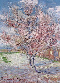 Umetniški tisk Souvenir de Mauve - Pink Peach Tree in Blossom, 1888