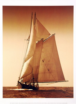 Umetniški tisk Under Sail I
