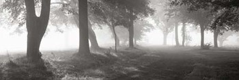 Art Print TRANSLUCENCE