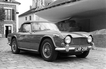 Принти на полотні Triumph TR5