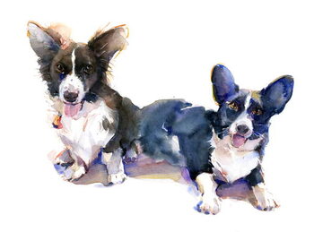 Наклейка Two Corgis, 2015,